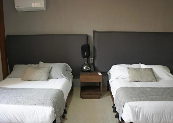 Centro Historico Hermosos Departamentos, Casas Freda